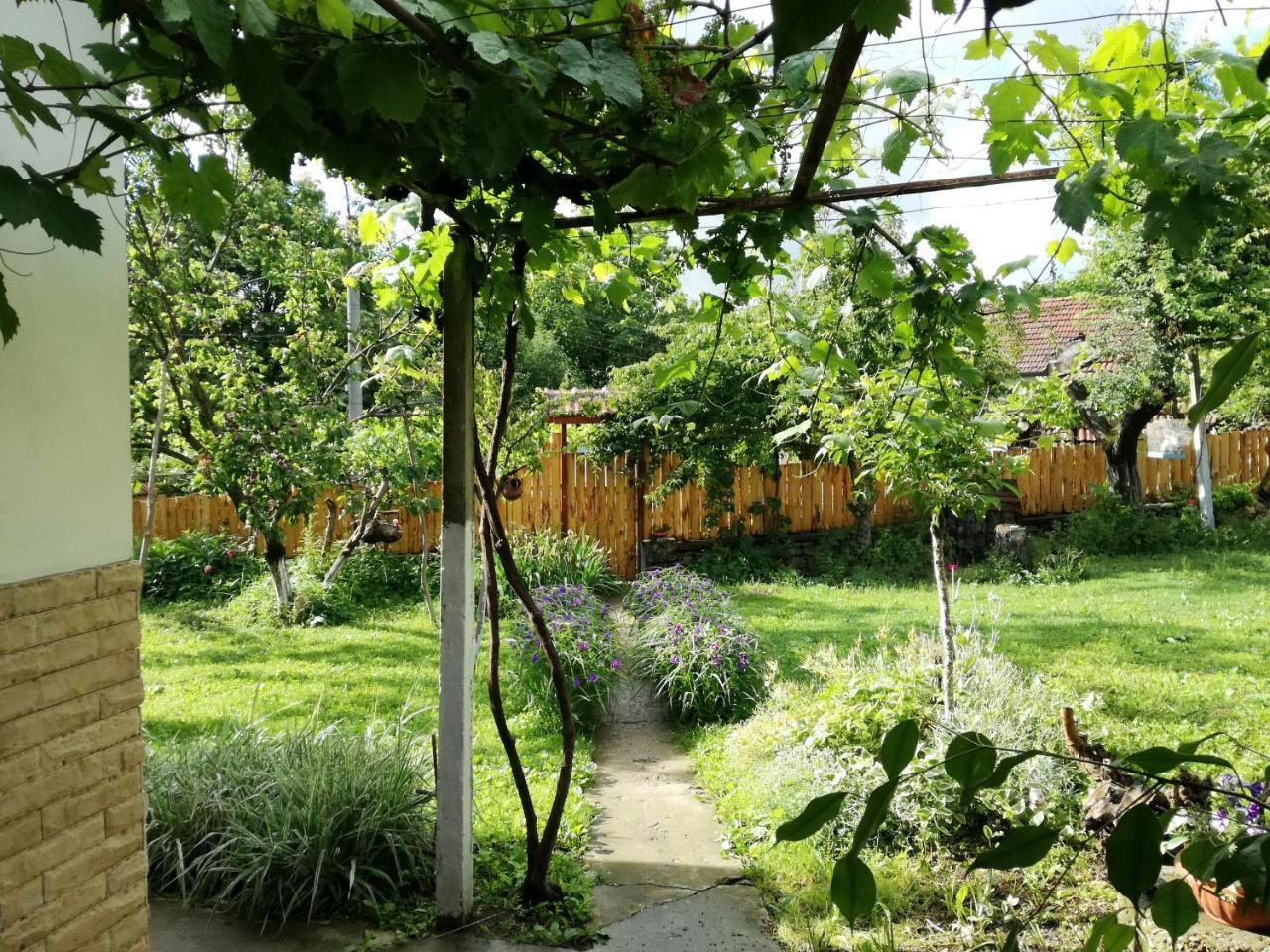 Divna Guest House Krushuna Exterior foto